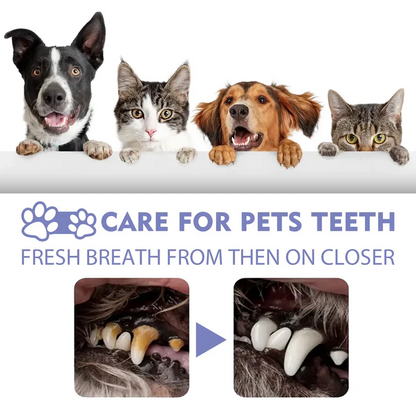 zsxaby™ No-Brushing Oral Care Spray for Dogs & Cats