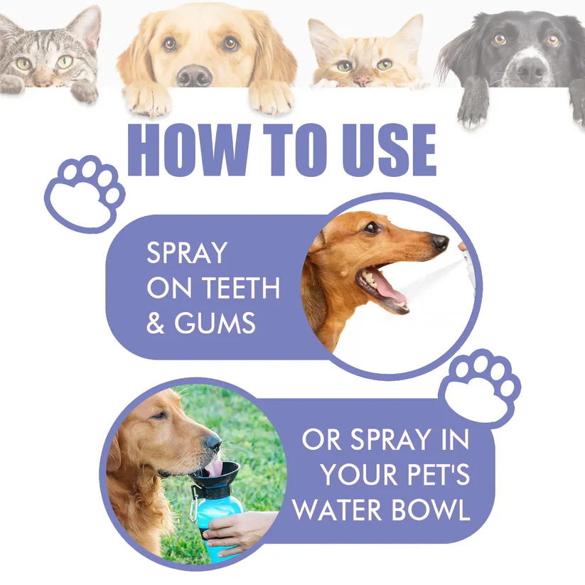 zsxaby™ No-Brushing Oral Care Spray for Dogs & Cats